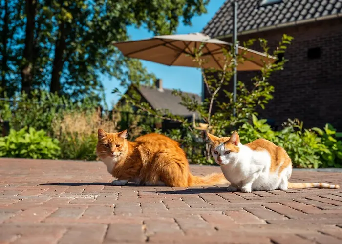 Apartman Hof Hool Nuenen