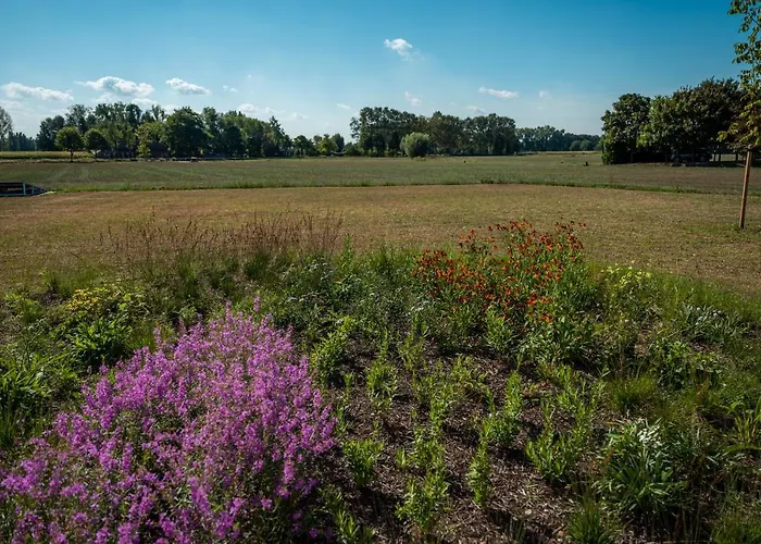 Hof Hool アパート