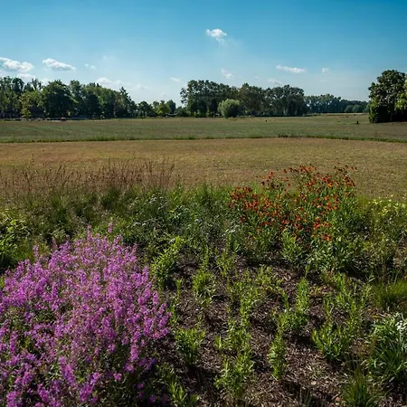Hof Hool Appartement